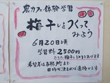梅干し作り体験教室の募集案内