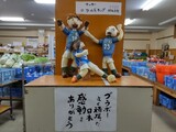 越冬野菜市つくりもん 2022年度 FIFA カタールW杯 「ブラボー 日本代表」の展示