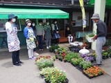 オンリーワンの寄せ植え！「6月6日 花の寄植え体験教室」