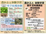 里芋収穫体験＆里芋豆知識講座 募集案内