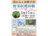 「野菜収穫体験」講座 の募集案内