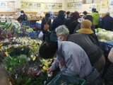 今年最後のイベント「越冬野菜市」開催！