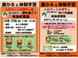 ハロウィンかぼちゃに顔を描こう＆作り方講座 募集案内