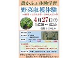 「野菜収穫体験」講座 の募集案内